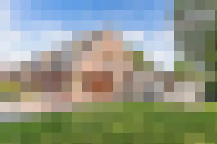 Dekemastraat 2 Tzum thumbnail 46