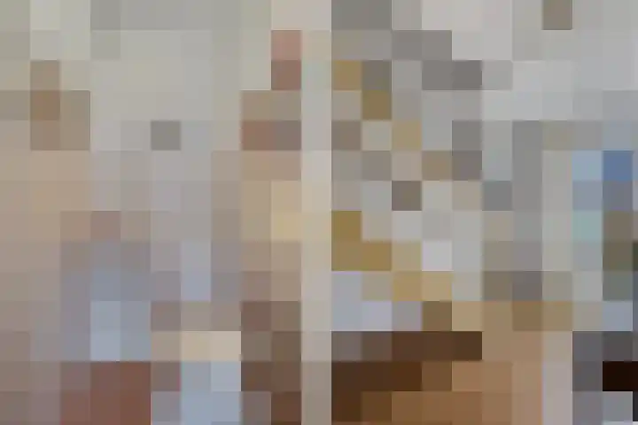 Dekemastraat 4 Tzum thumbnail 10