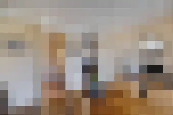 Dekemastraat 4 Tzum thumbnail 20