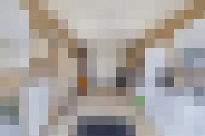 Dekemastraat 4 Tzum thumbnail 23