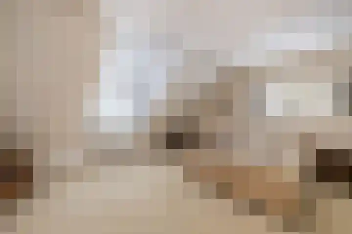 Dekemastraat 4 Tzum thumbnail 25