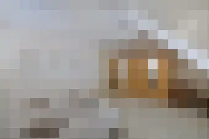 Dekemastraat 4 Tzum thumbnail 26