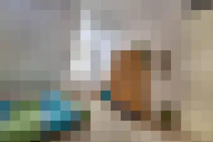 Dekemastraat 4 Tzum thumbnail 28