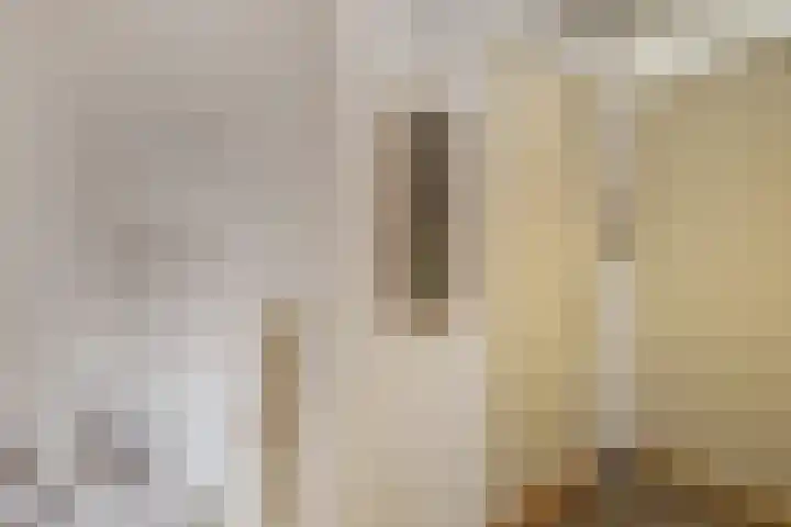 Dekemastraat 4 Tzum thumbnail 32