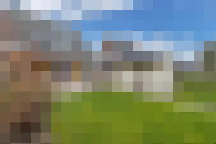 Dekemastraat 4 Tzum thumbnail 35