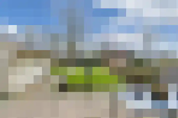 Dekemastraat 4 Tzum thumbnail 37