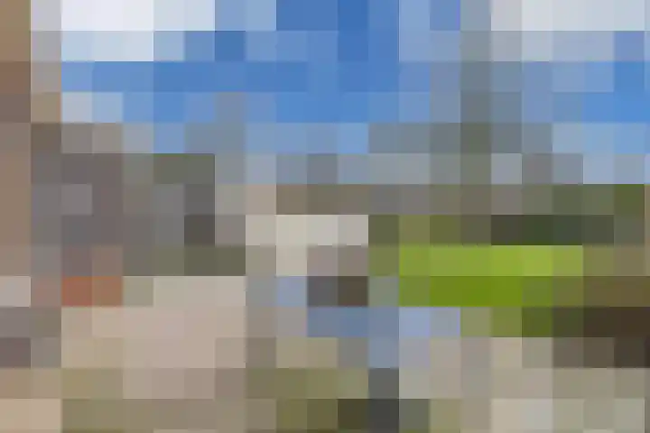 Dekemastraat 4 Tzum thumbnail 38