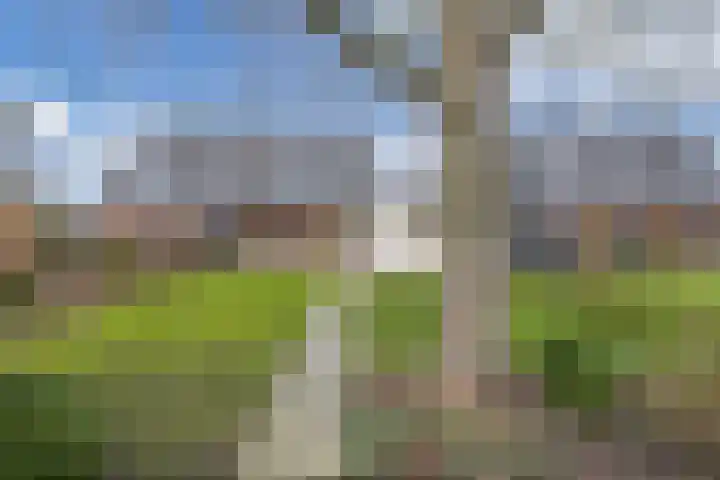 Dekemastraat 4 Tzum thumbnail 39