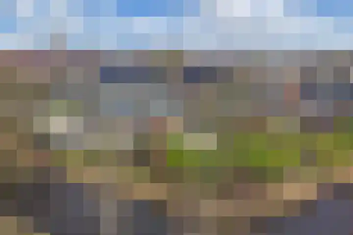 Dekemastraat 4 Tzum thumbnail 40
