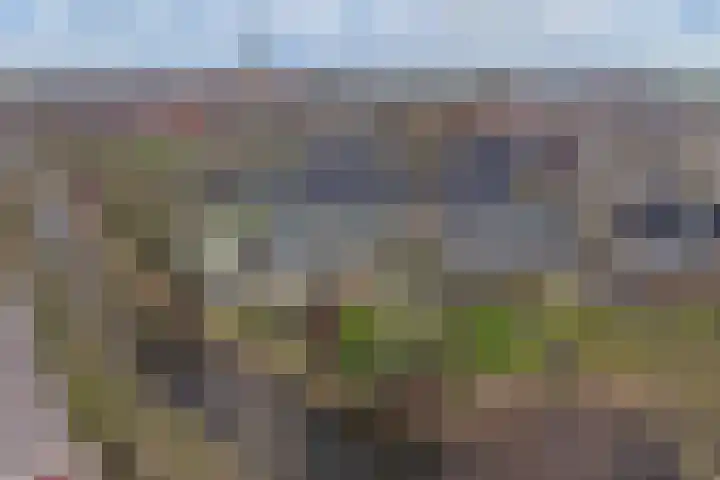 Dekemastraat 4 Tzum thumbnail 41