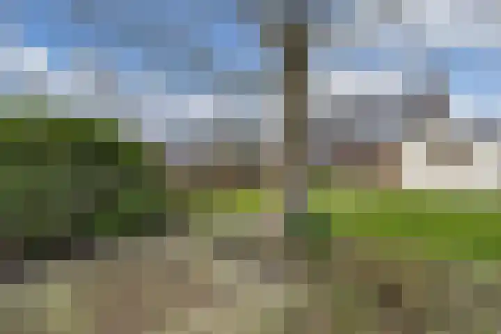 Dekemastraat 4 Tzum thumbnail 42