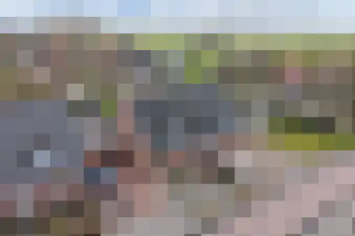 Dekemastraat 4 Tzum thumbnail 7