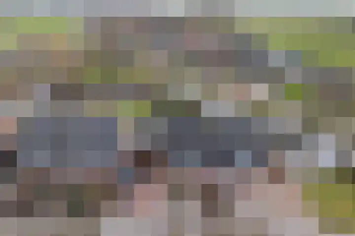 Dekemastraat 4 Tzum thumbnail 8