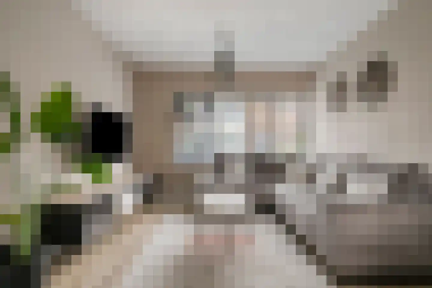 Deken B.J. van Miertstraat 2 Best thumbnail 10