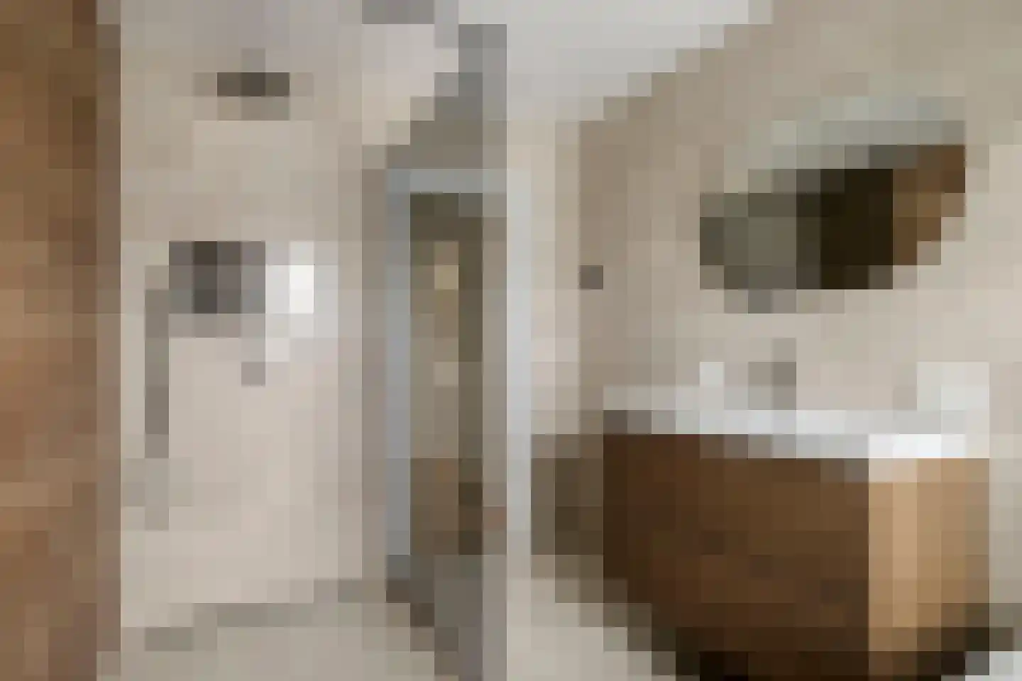 Deken B.J. van Miertstraat 2 Best thumbnail 4