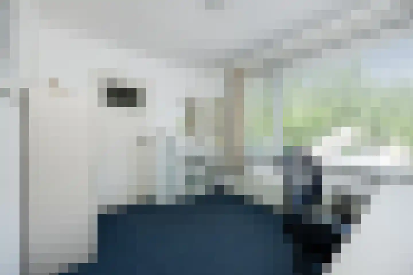 Deken B.J. van Miertstraat 26 Best thumbnail 20