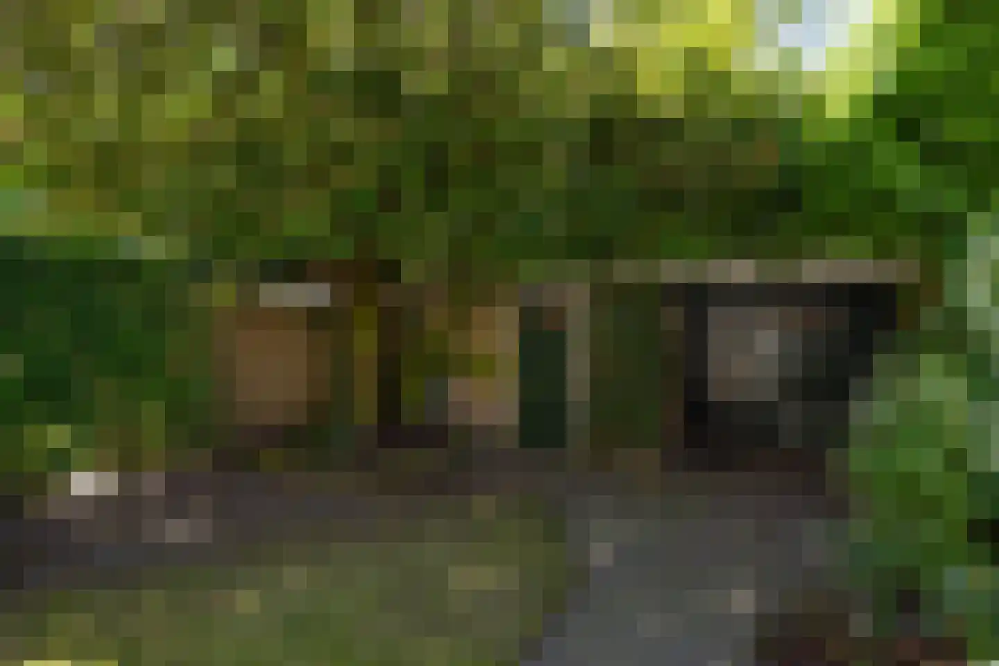 Deken B.J. van Miertstraat 26 Best thumbnail 28