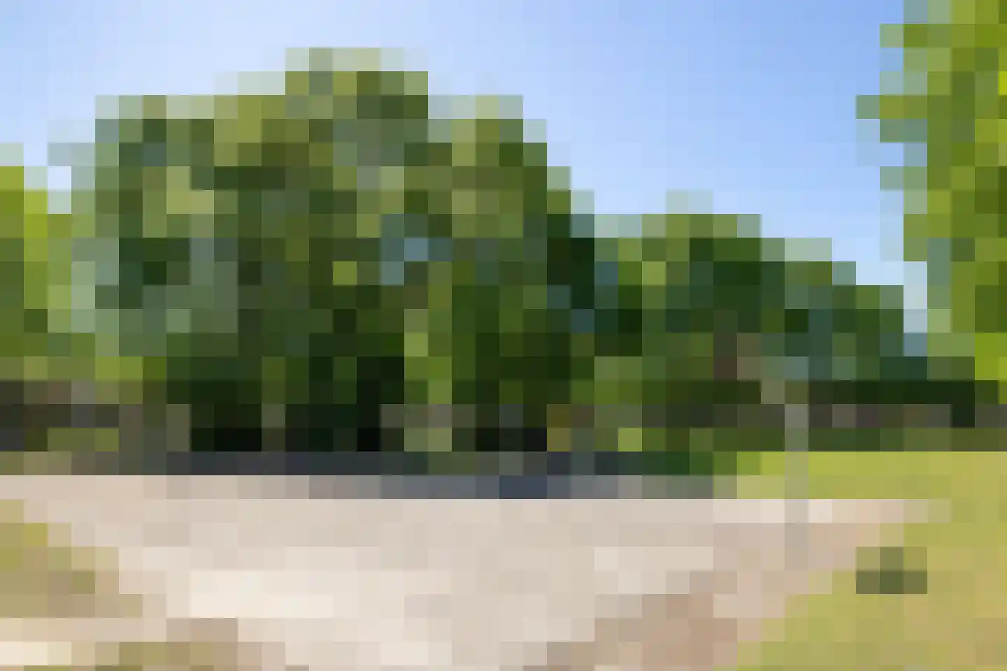 Deken B.J. van Miertstraat 26 Best thumbnail 37