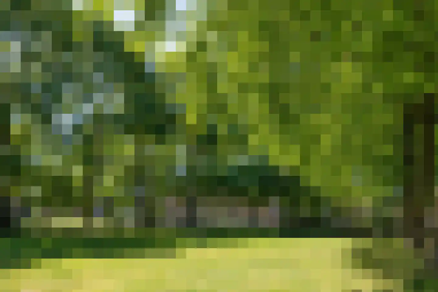 Deken B.J. van Miertstraat 26 Best thumbnail 38