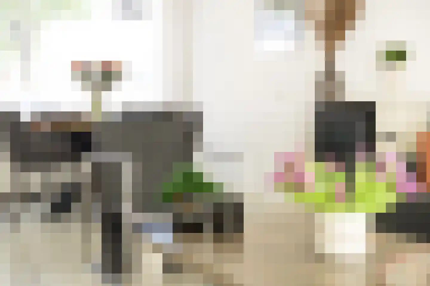 Deken B.J. van Miertstraat 26 Best thumbnail 8