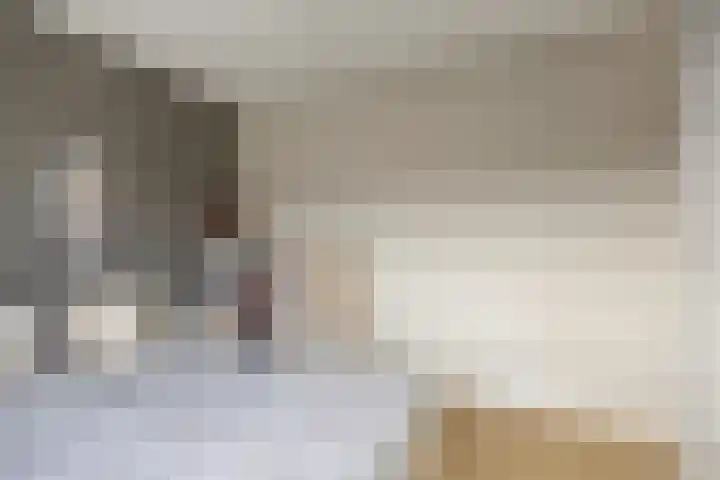 Deken B.J. van Miertstraat 9 Best thumbnail 12