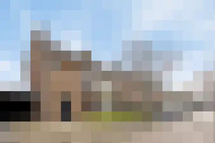Deken B.J. van Miertstraat 9 Best thumbnail 25