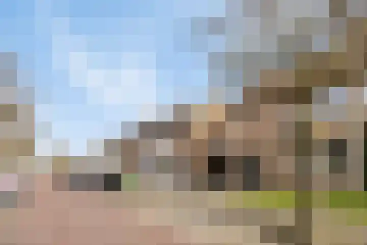 Deken B.J. van Miertstraat 9 Best thumbnail 26