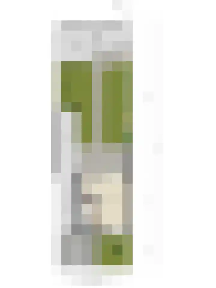 Deken B.J. van Miertstraat 9 Best thumbnail 29