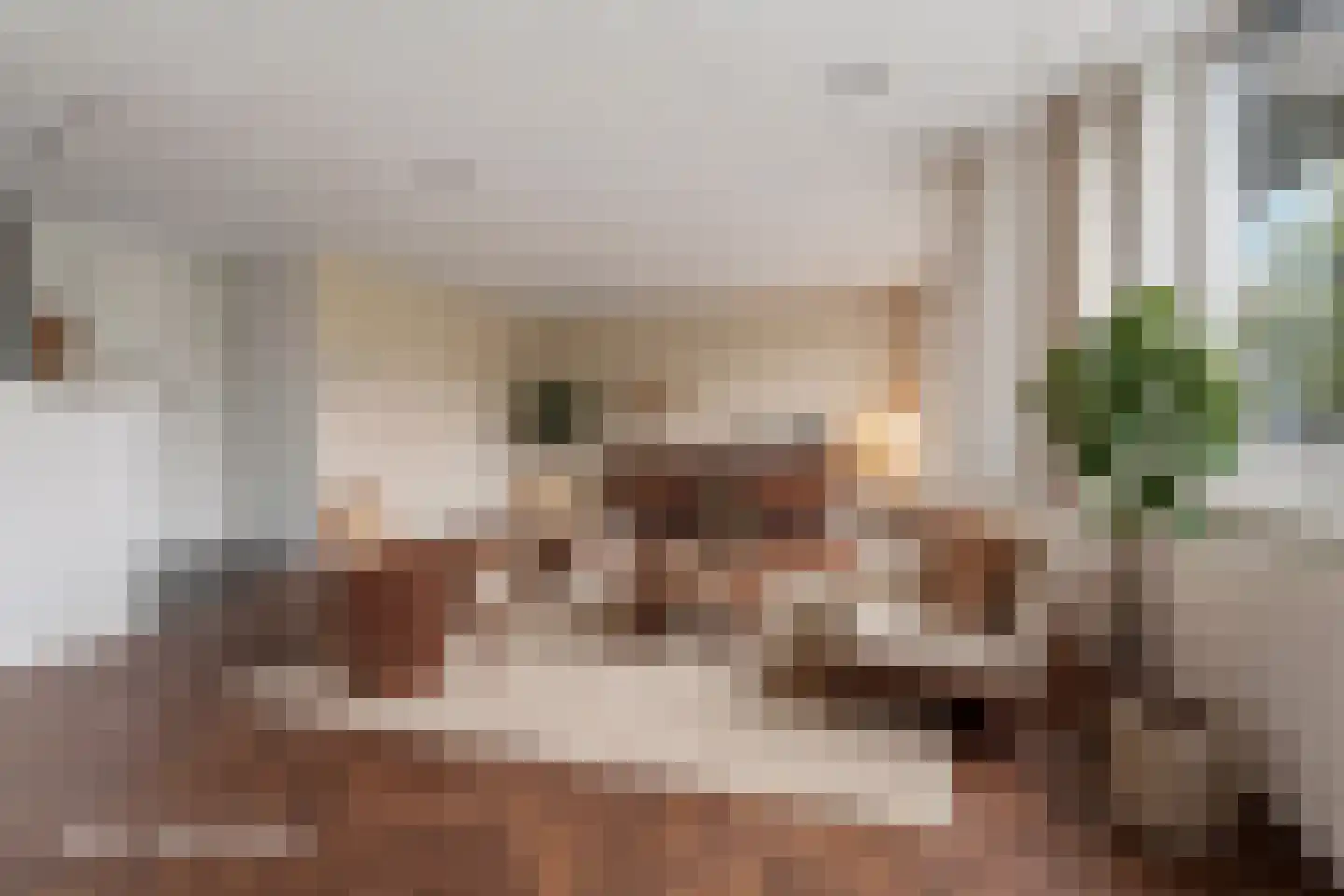 Deken Baekersstraat 2 12 Schijndel thumbnail 10