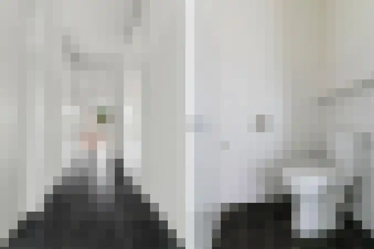 Deken Baekersstraat 2 12 Schijndel thumbnail 32
