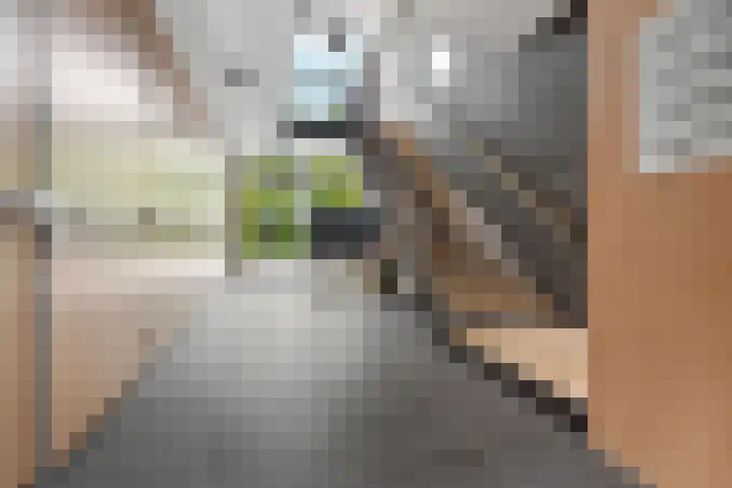 Deken Baekersstraat 2 12 Schijndel thumbnail 35