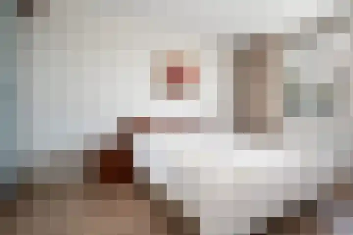 Deken Baekersstraat 2 20 Schijndel thumbnail 14