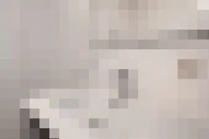 Deken Baekersstraat 2 20 Schijndel thumbnail 20