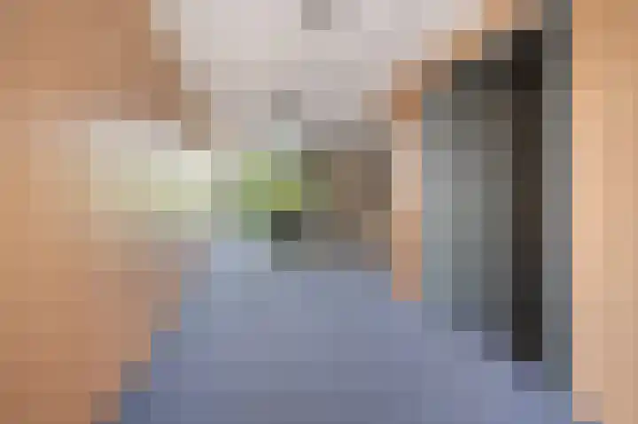 Deken Baekersstraat 2 20 Schijndel thumbnail 24