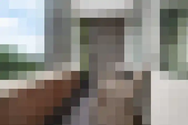 Deken Baekersstraat 2 20 Schijndel thumbnail 4