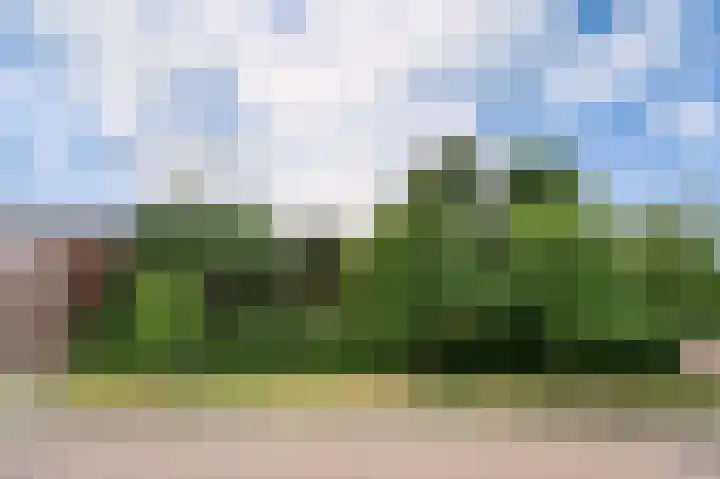 Deken Baekersstraat 2 20 Schijndel thumbnail 8