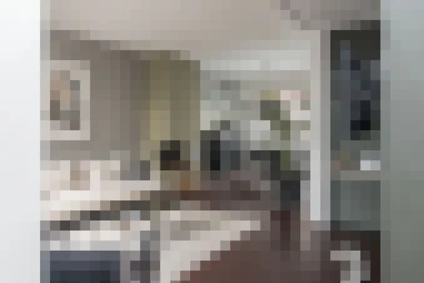 Deken Botsstraat 25 Tilburg thumbnail 12