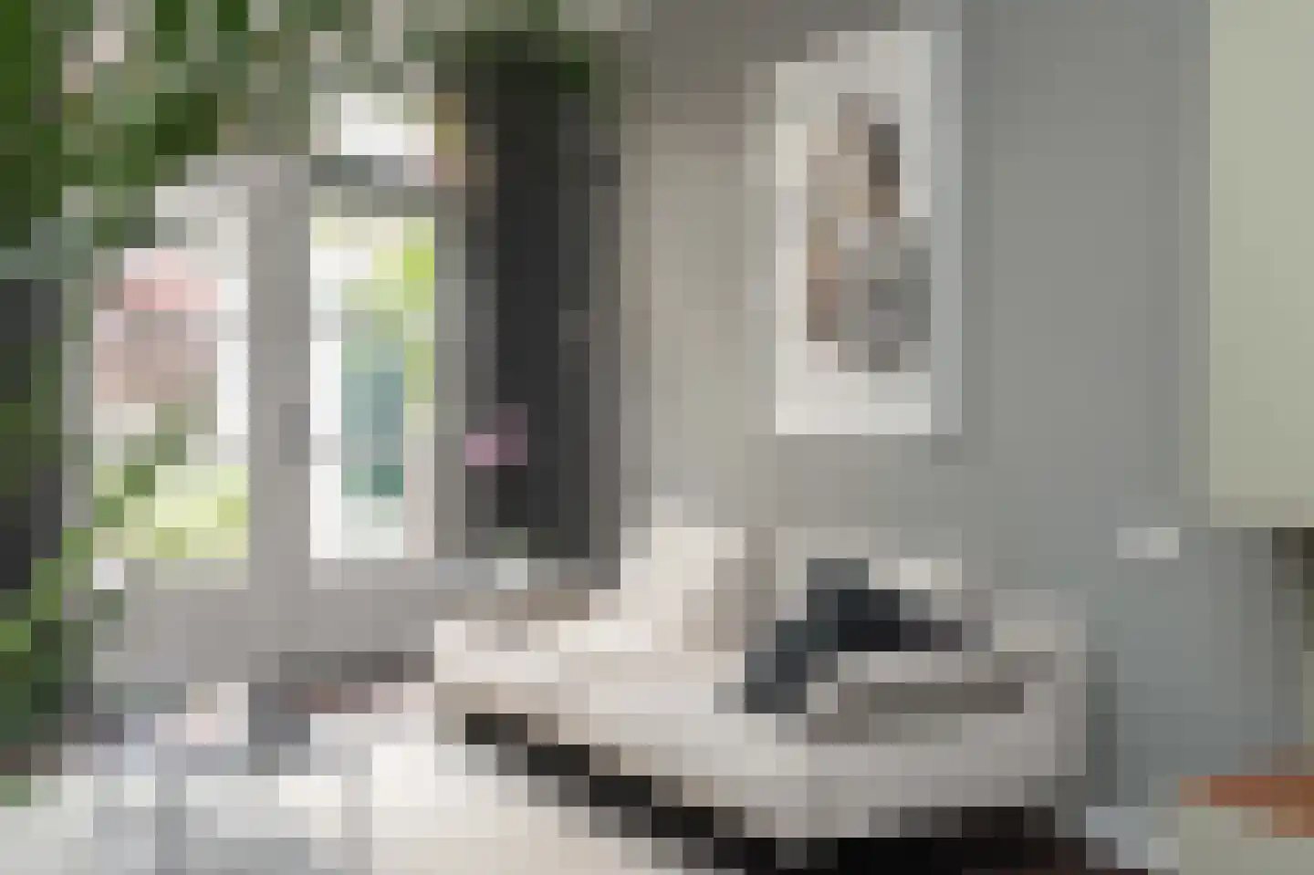 Deken Botsstraat 25 Tilburg thumbnail 13
