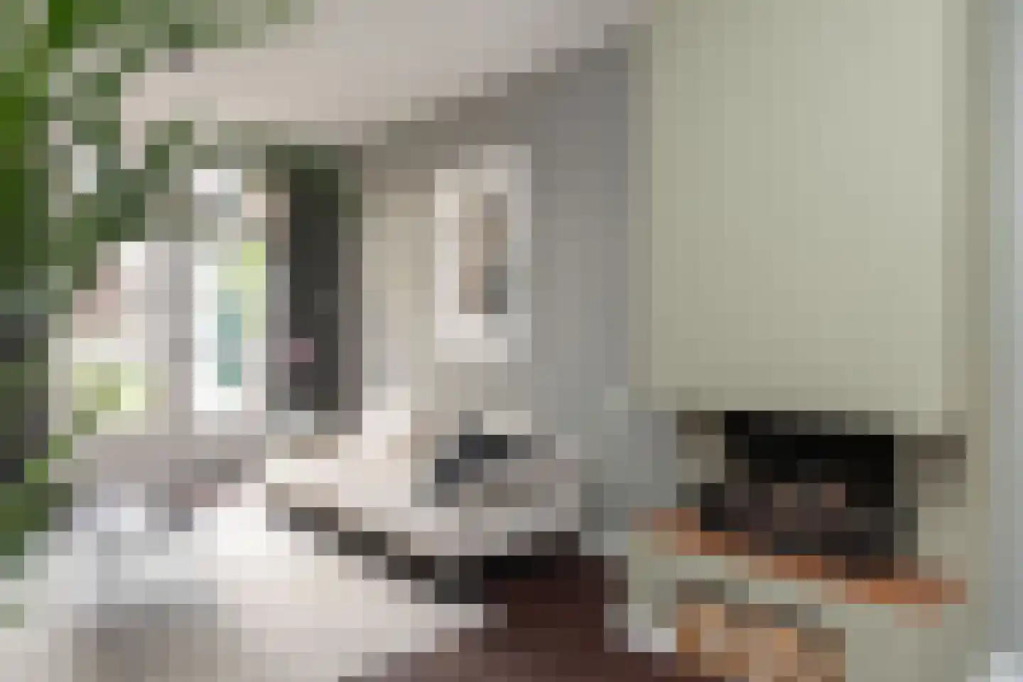 Deken Botsstraat 25 Tilburg thumbnail 14
