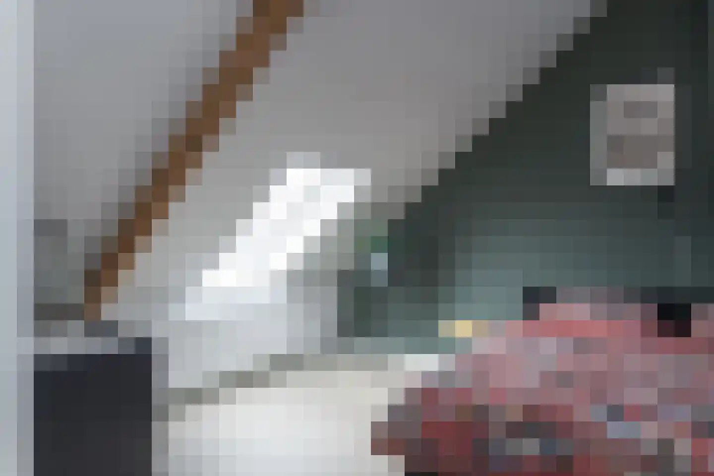 Deken Botsstraat 25 Tilburg thumbnail 36