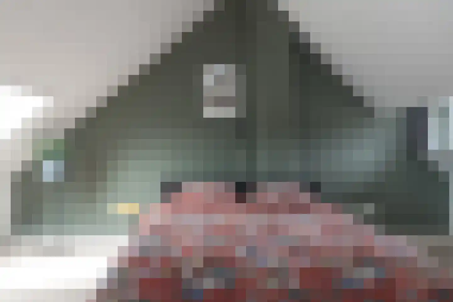 Deken Botsstraat 25 Tilburg thumbnail 37