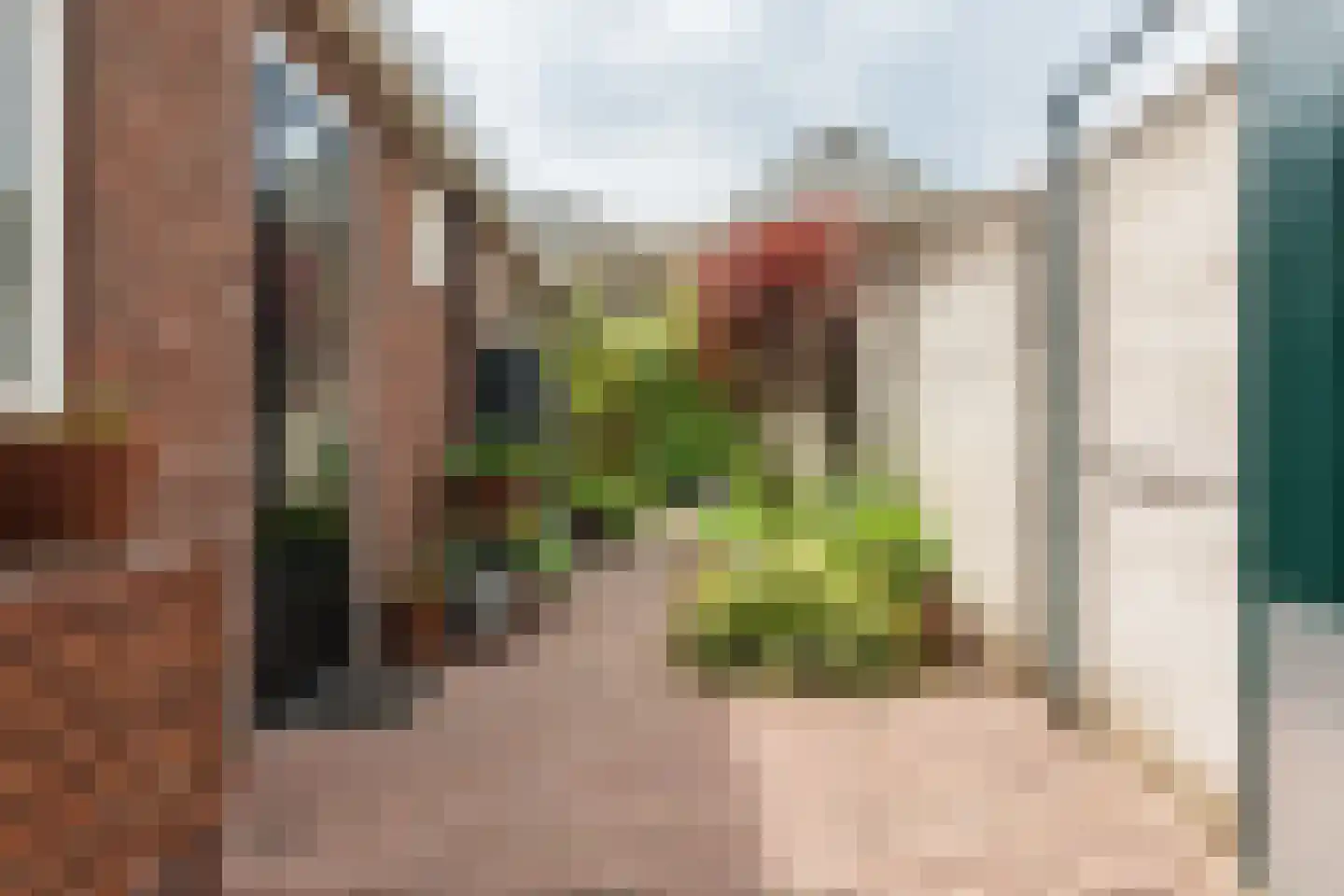 Deken Botsstraat 25 Tilburg thumbnail 42