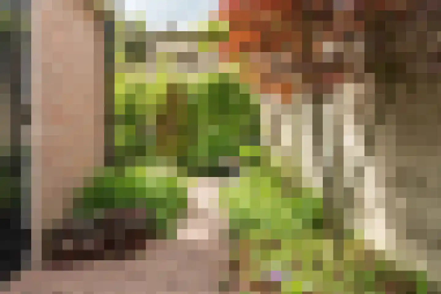 Deken Botsstraat 25 Tilburg thumbnail 43