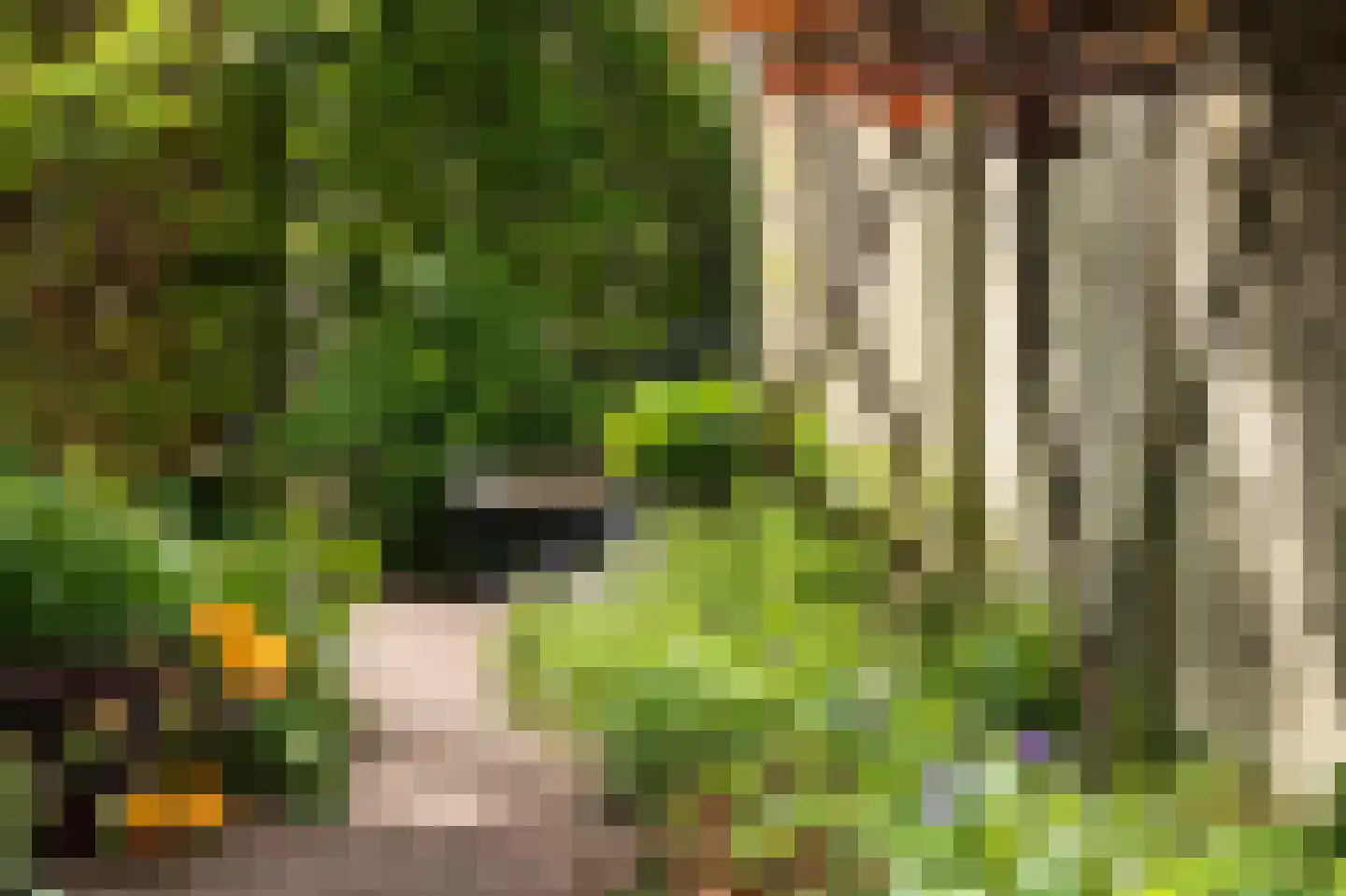 Deken Botsstraat 25 Tilburg thumbnail 44