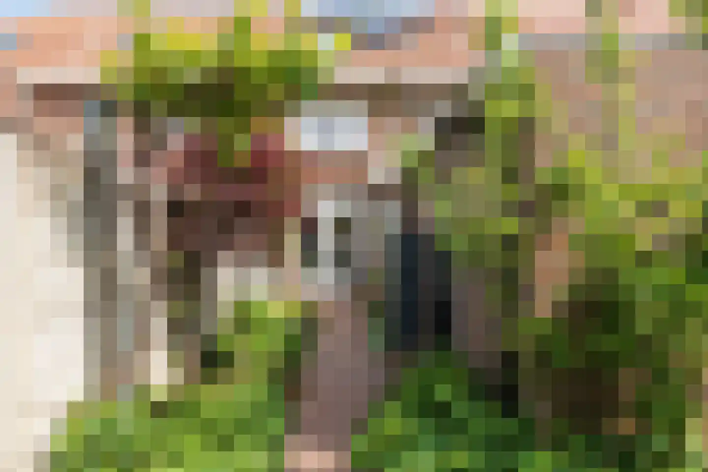Deken Botsstraat 25 Tilburg thumbnail 47