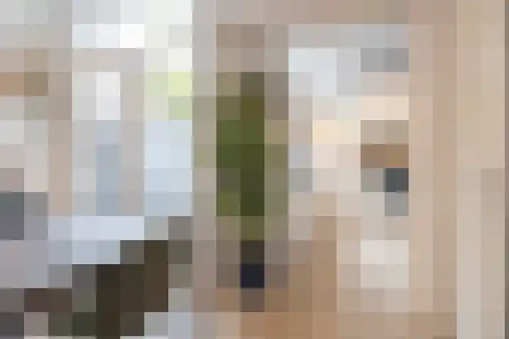 Deken Botsstraat 6 Tilburg thumbnail 11