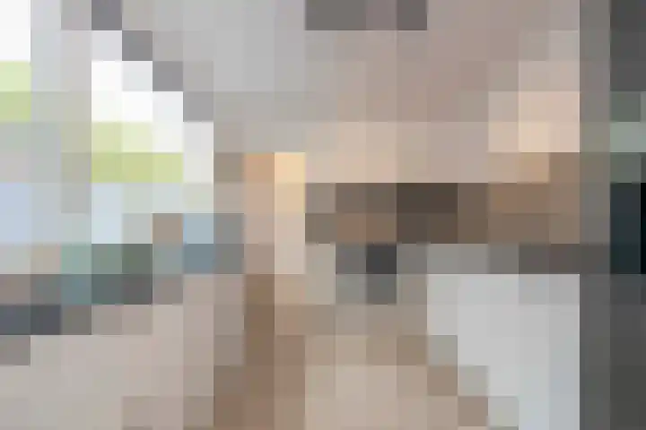 Deken Botsstraat 6 Tilburg thumbnail 12