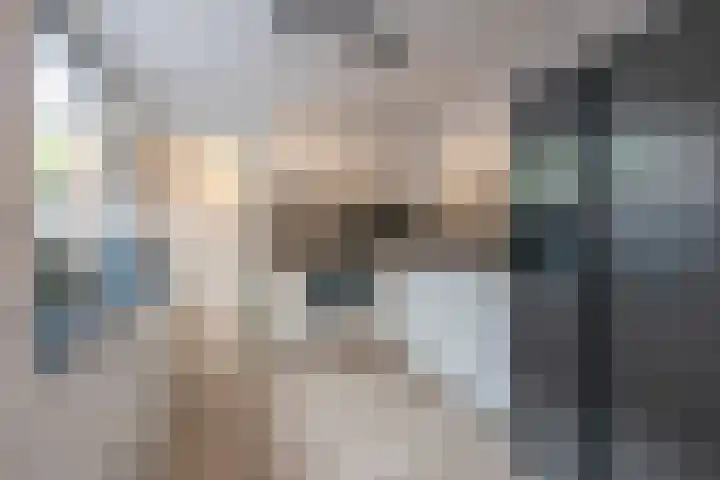 Deken Botsstraat 6 Tilburg thumbnail 13