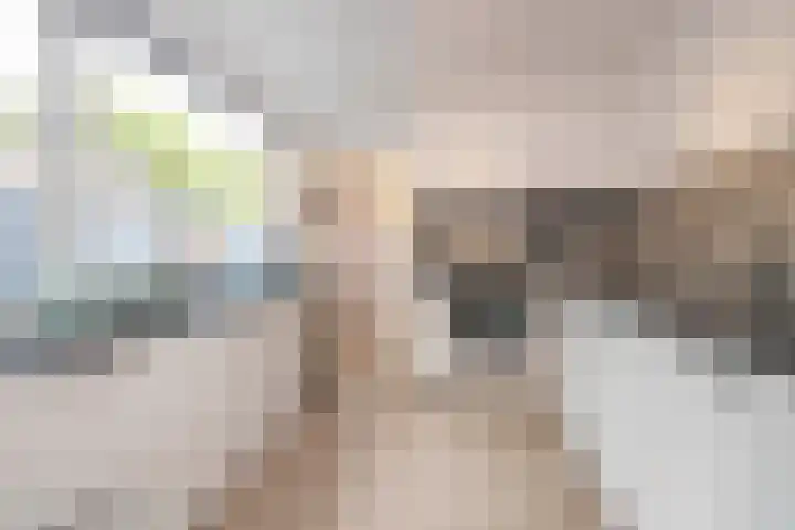 Deken Botsstraat 6 Tilburg thumbnail 14
