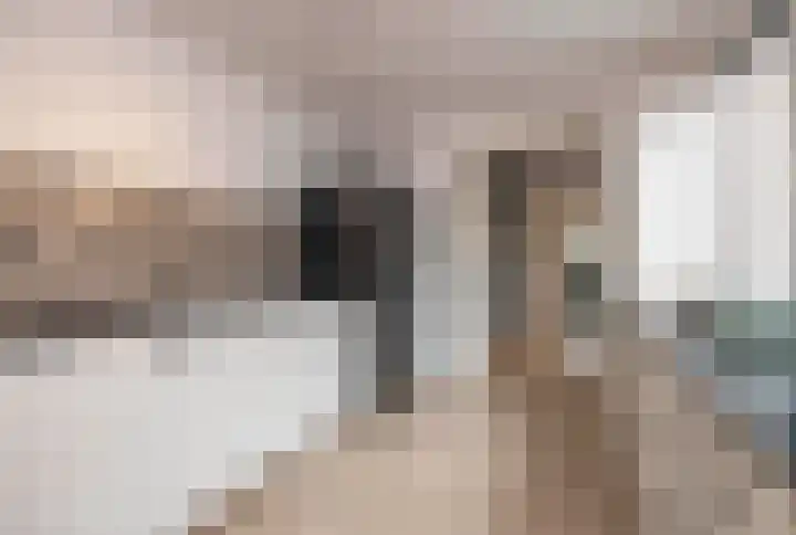 Deken Botsstraat 6 Tilburg thumbnail 15